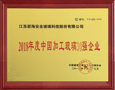2018年度中國加工玻璃30強企業